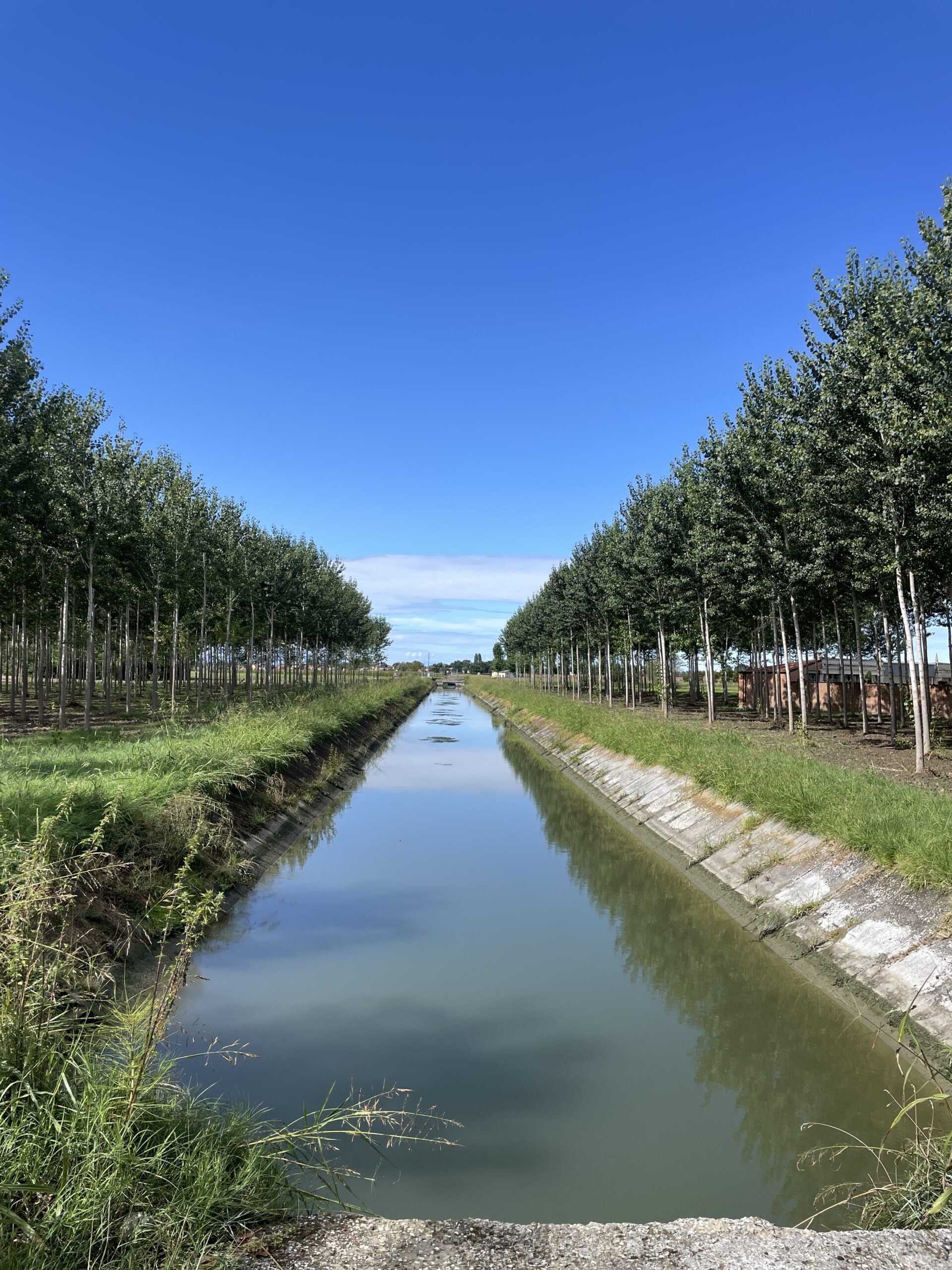 Foto_ConsorzioCER_-_Canale_Emiliano_Romagnolo