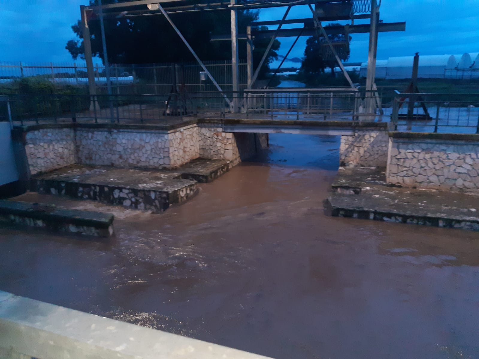 Piogge-zone pontine e romane (3)